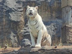-杭州野生动物世界