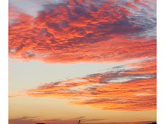 -上海山野camping·户外天幕烧烤·团建拓展营地