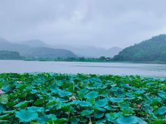 -东钱湖旅游度假区