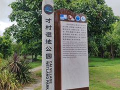 -才村湿地公园