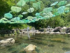 -石台牯牛降景区