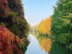 -昆山城市生态森林公园