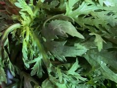 -捞王猪肚鸡火锅(昆山店)