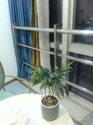 -痘院长·祛痘·皮肤管理