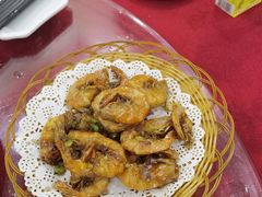 -昌茂客家情