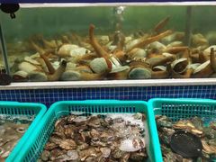 水产区-丰卓会海鲜自助(中润大道店)