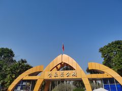 -金花茶公园