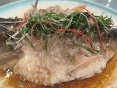 -来客家食府 · 福建客家菜