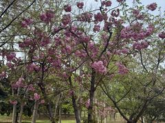 -钟山体育运动公园