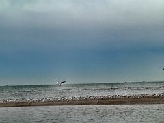 -老虎石海上公园