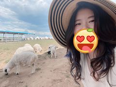 -呼和诺尔旅游景区