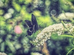 -苏州河梦清园环保主题公园