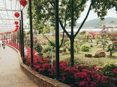 景点-盈香心动乐园