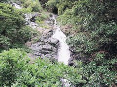 -东天目山风景区