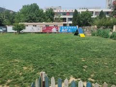 -趣玩宠物乐园寄养训犬训狗游泳池