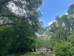 -黑龙江省森林植物园