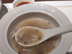 -觀芷隐轩