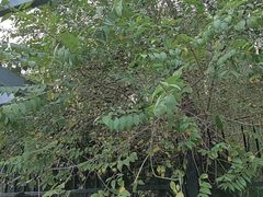 -上海年代·浙菜家烧·小海鲜(水上东路店)