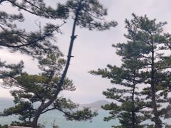 -崂山巨峰游览区
