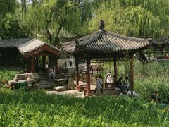 -北坞公园