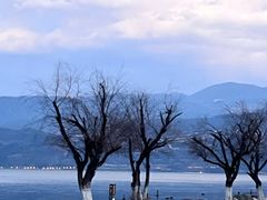 -西昌邛海湾柏樾酒店(原邛海湾柏栎度假酒店)