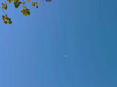 -春花秋色城市公园