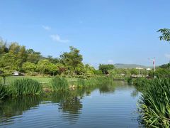 -石塘人家