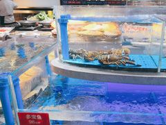 -小螺号海鲜·地道鲁菜(省体总店)