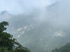-少华山国家森林公园