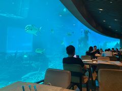 -海棠湾洲际-涛·海底餐厅·美人鱼·自助餐·海底隧道