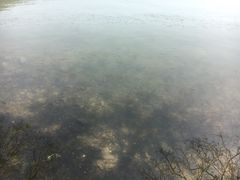 -紫霞湖公园