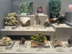 -湖南省地质博物馆