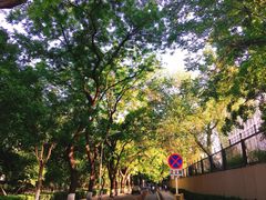 -中国公安部总部大楼