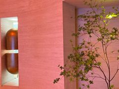 -舒小悦·舒养SPA·古法推拿(光环中心店)