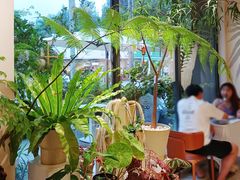 -花神·轻食简餐·咖啡馆·花卉绿植(荷兰花卉小镇店)