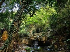 -广州市白云山风景名胜区