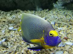 -福州罗源湾海洋世界旅游区