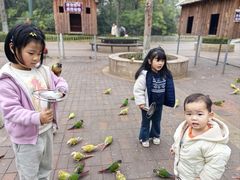 -国色天乡三期陆地乐园