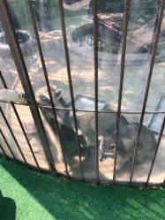 -萌宠亲子动物乐园(槐房万达店)