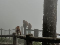 -峨眉山风景名胜区