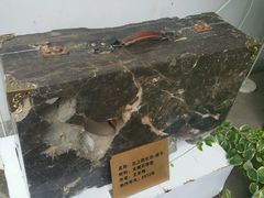 android_upload_pic-三利音·浦之舟(滨江大道店)