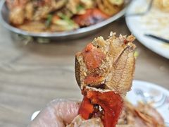-金螃蟹
