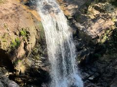 -九龙江国家森林公园