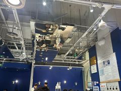 -兰湘子·湘菜小炒(石家庄万象城店)