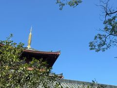 -东部华侨城