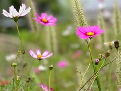 -北京金海湖景区
