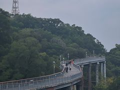 -金鸡山公园