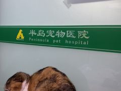 -半岛宠物医院24小时(科华中路店)