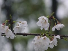 -钱塘江大桥