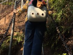 -浏阳石牛寨风景区
